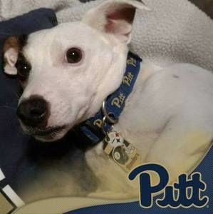 Meet your Posher, Todd